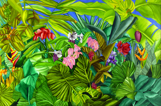 Energetic Garden - Tropical Garden of Hibiscus, Mussaenda, Ruellia, Ginger, and a Banana Plant
